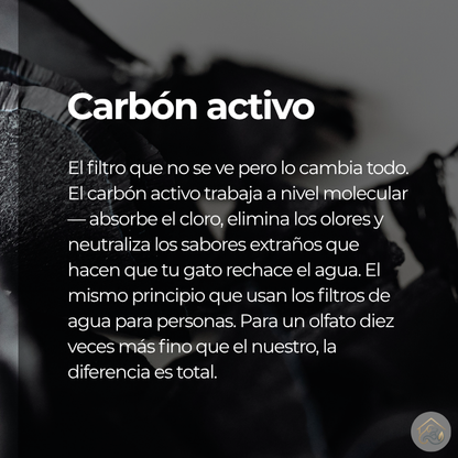 Filtros de Repuesto FontPets Pro™ — Pack de 12 unidades