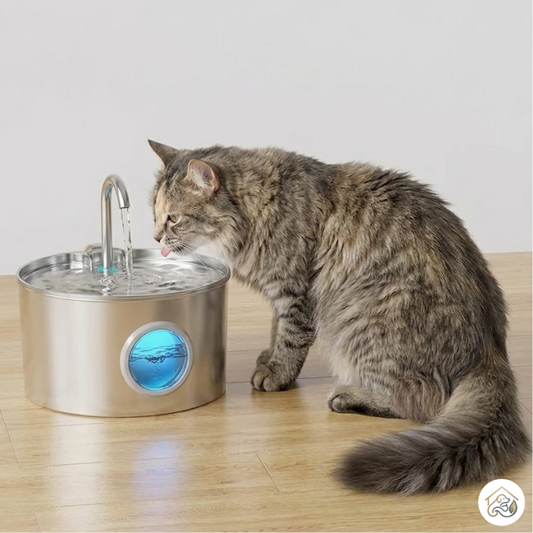FontPets Pro™ - Fuente para gatos